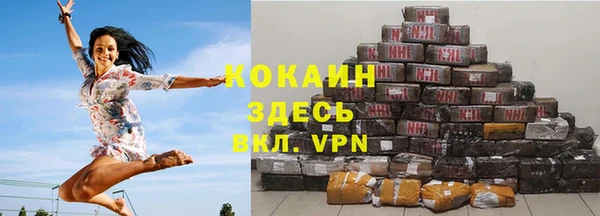 2c-b Бородино