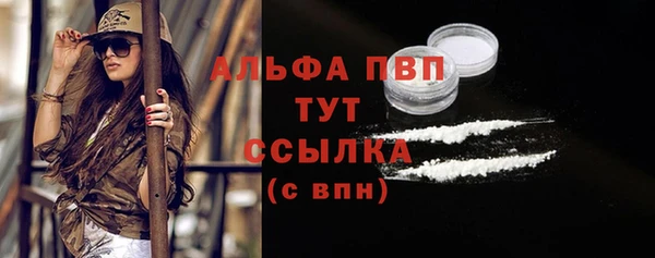 ПСИЛОЦИБИНОВЫЕ ГРИБЫ Верхний Тагил